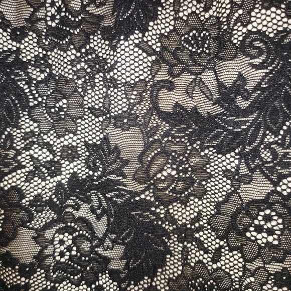 EUC Wilfred Juliette Lace Bustier Dress - Picture 5 of 6